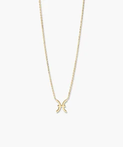 Zodiac Sign Necklace